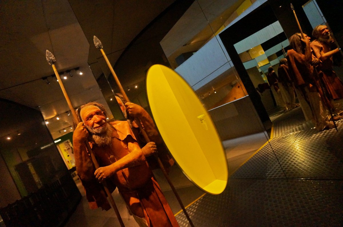 Die Dauerausstellung des Neanderthal Museums in Mettmann.